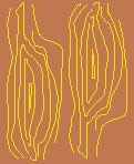 (tomeemp)
